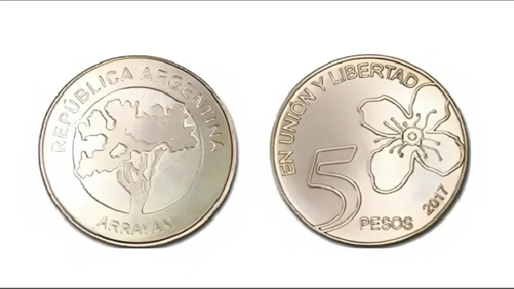 La moneda de 5 pesos debe cumplir con ciertas características específicas. Gentileza: Revista Veintitres.