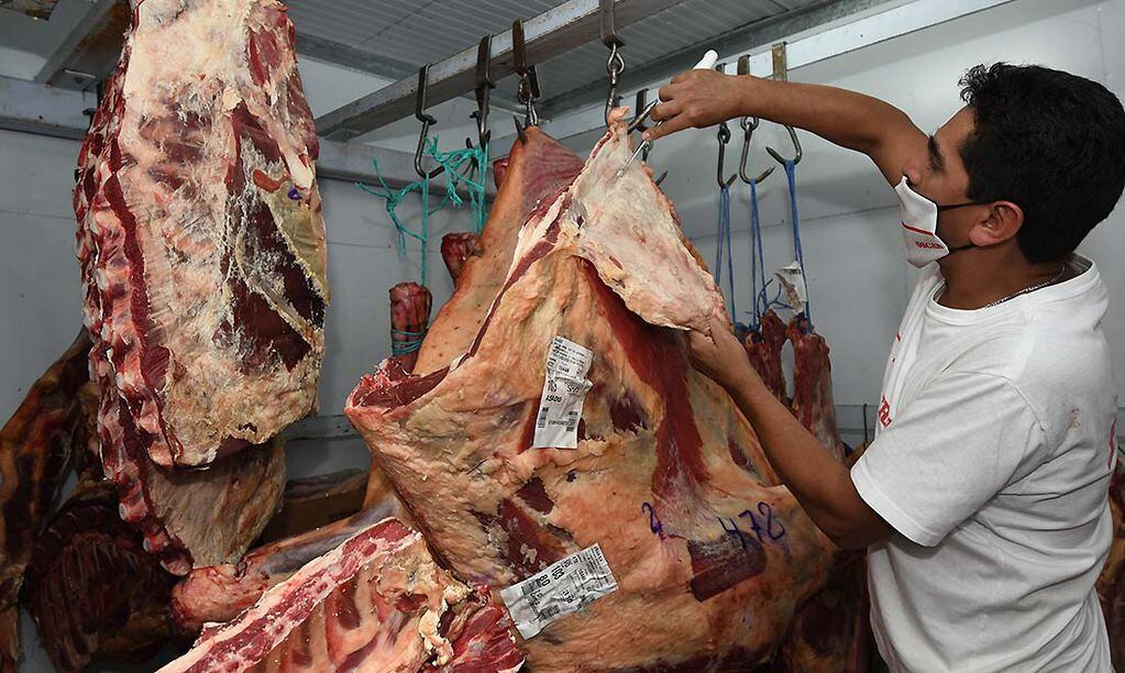 Carniceria de FRIAR que tiene a la venta carne de precios cuidados, ubicada en  Calle Saavedra de Guaymallen/Oscar realiza unos cortes de carne/ Foto: José Gutierrez / Los Andes
