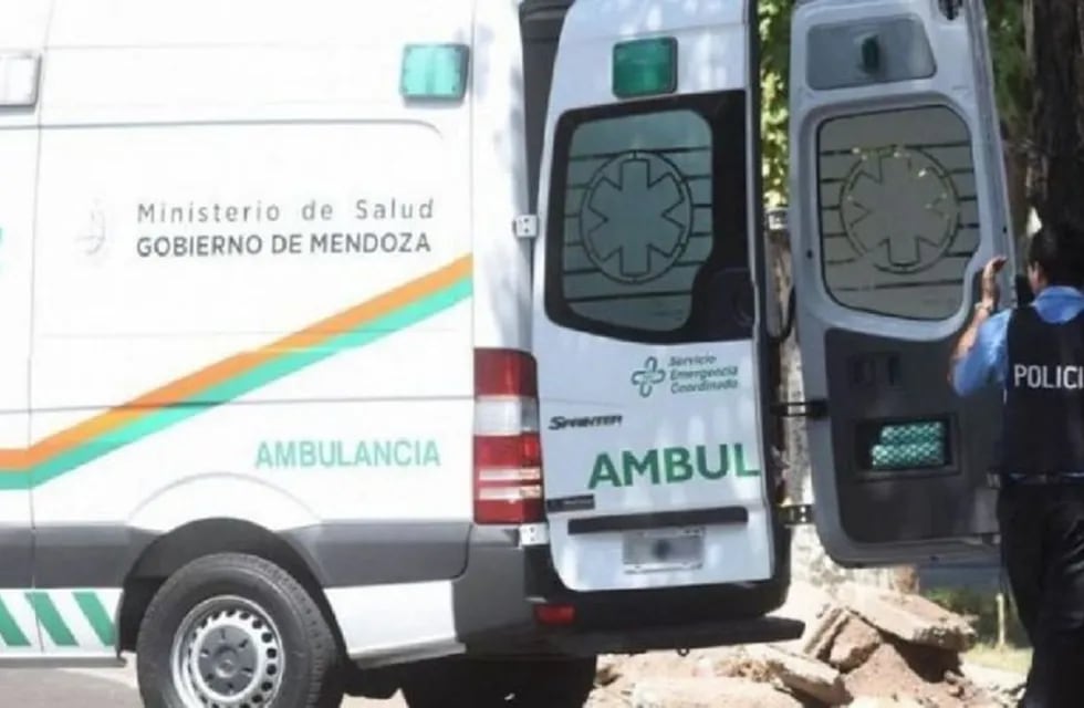 Una mujer de 76 años falleció tras ser atropellada en Las Heras (Archivo / Los Andes)