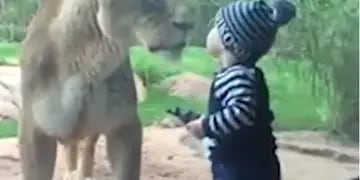 El nene le da la bienvenida al zoo.