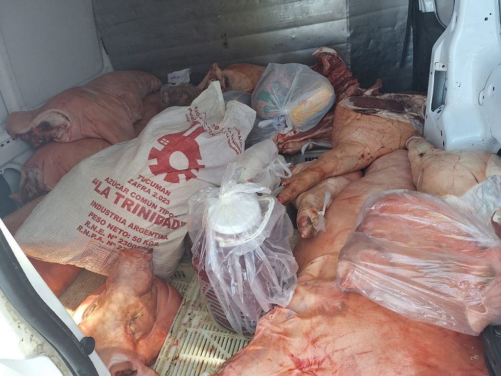 Guaymallén: llevaba 300 kilos de carne sin refrigerar en su utilitario. | Foto: Ministerio de Seguridad