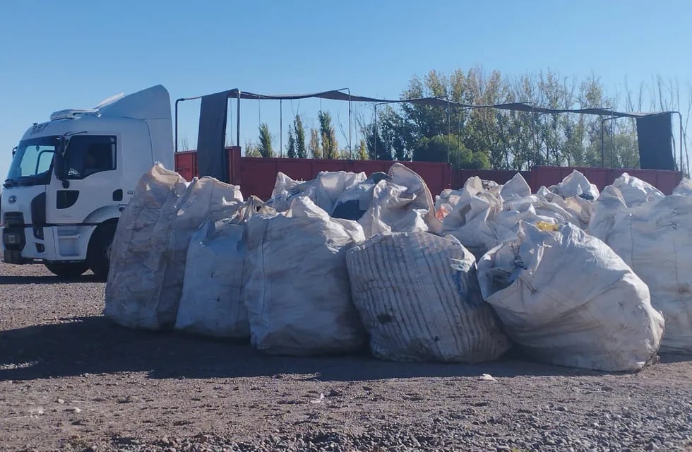 El Iscamen enviará envases vacíos de agroquímicos que no se pueden reciclar a plantas en otras provincias, para su disposición final. Foto: Gobierno de Mendoza