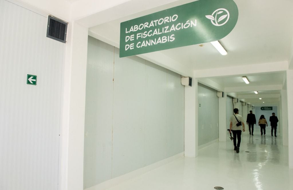 Laboratorio de cannabis medicinal.