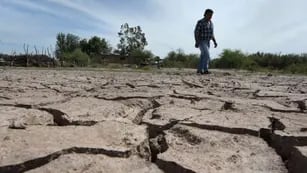 En baja. Casi 40 mil hectáreas con riego están comprometidas por la crisis hídrica según datos de Irrigación.  Orlando Pelichotti / Los Andes
