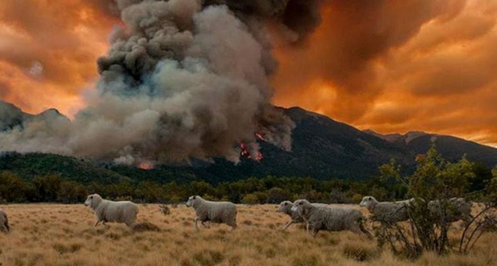 En el Parque Nacional los Alerces ya se quemaron 3.000 hectáreas.
