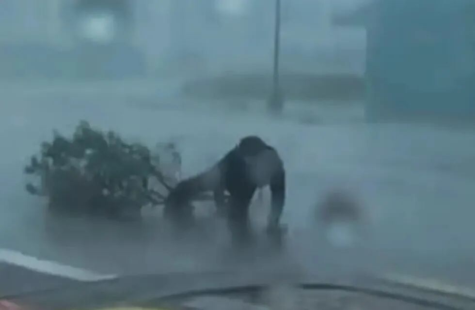 El impresionante momento en el que un meteorólogo es arrastrado por los vientos del huracán Ian (Captura)