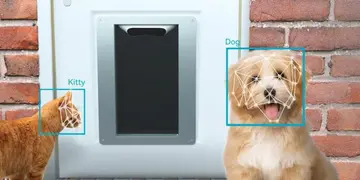 Diseñaron un dispositivo que usa reconocimiento facial para abrirle la puerta a las mascotas