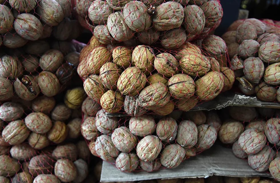 Gran parte de la producción mendocina de nueces tiene como destino la exportación. Foto: Andrés Larrovere  / Los Andes