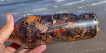 Aparecen extrañas “botellas de brujas” en el Golfo de México e investigadores se niegan a abrirlas