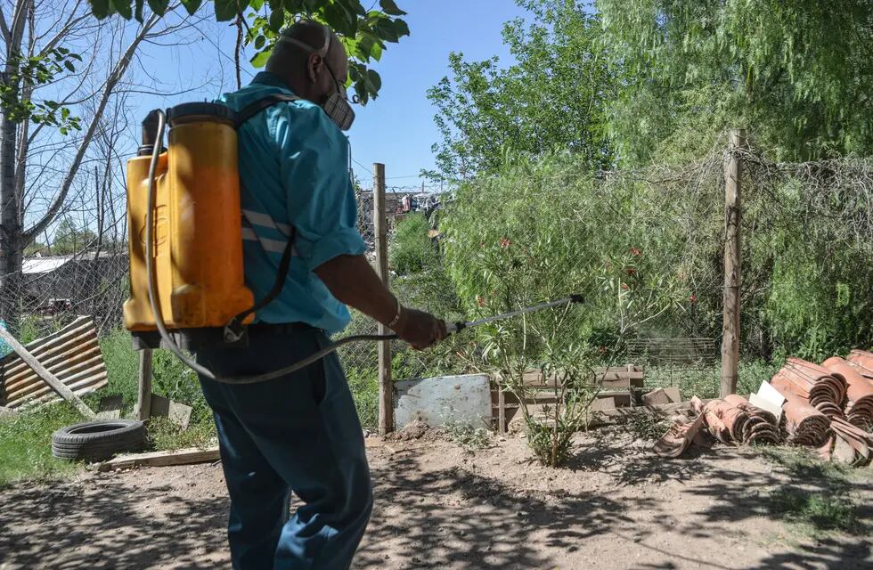 La Ciudad comenzó con sus trabajos de desinfección en el arbolado público de la Quinta Sección. Foto: Prensa Ciudad de Mendoza