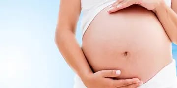 Saber qué sucede en cada mes de embarazo ayuda a responder muchas preguntas y a tomar decisiones para mejorar la salud de la mamá y el bebé.