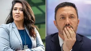 Victoria Montenegro denunció a Luis Petri
