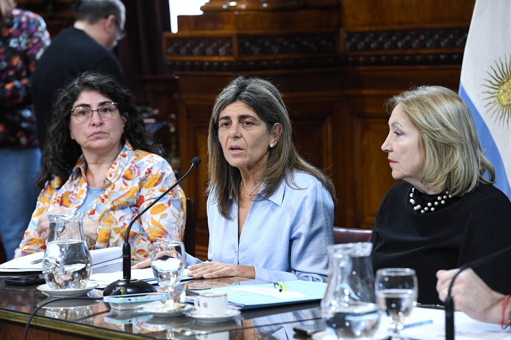 Las senadoras Ana María Ianni (izquierda) y Mariana Juri (centro), autoras de los proyectos que recibieron dictamen (Foto: Comunicación Senado)