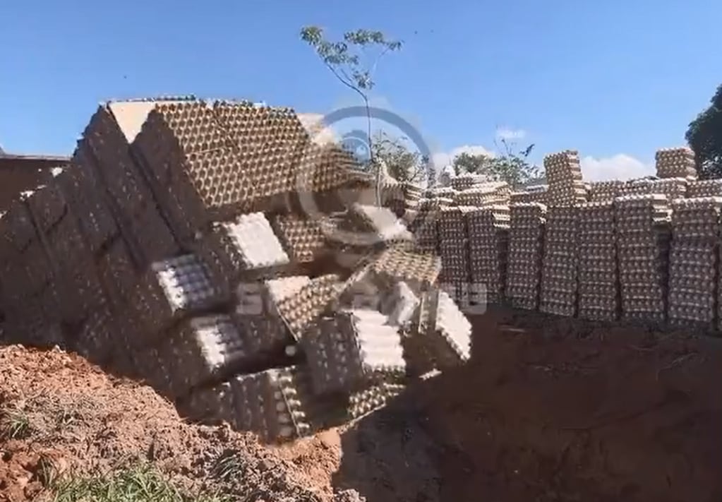 Aunque las pruebas por gripe aviar dieron negativo, el Senasa ordenó destruir 360.000 huevos y estalló la bronca. Foto: Captura Video.