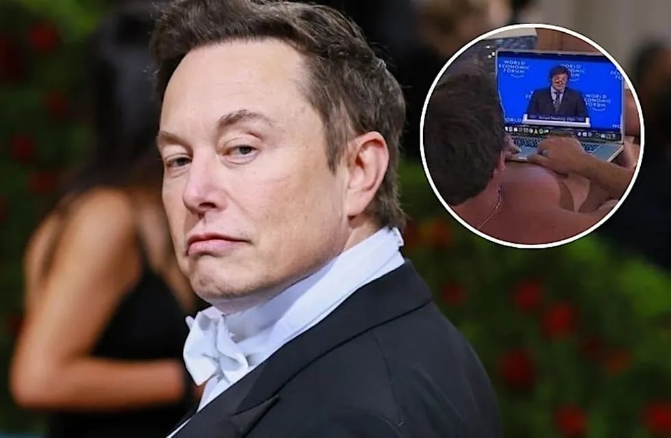 Elon Musk volvió a elogiar a Milei con un posteo hot.