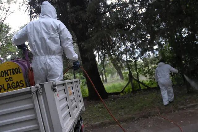 Fumigación por dengue en Mendoza
