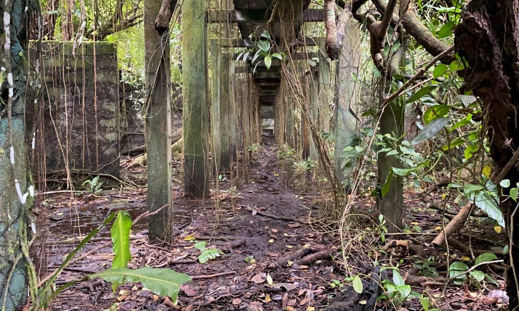 Las raíces gigantes y enredaderas trepan por los muros. Las ramas serpentean por los desagües. Ahora la Isla es un Parque Nacional que atrae a miles de turitas. 

