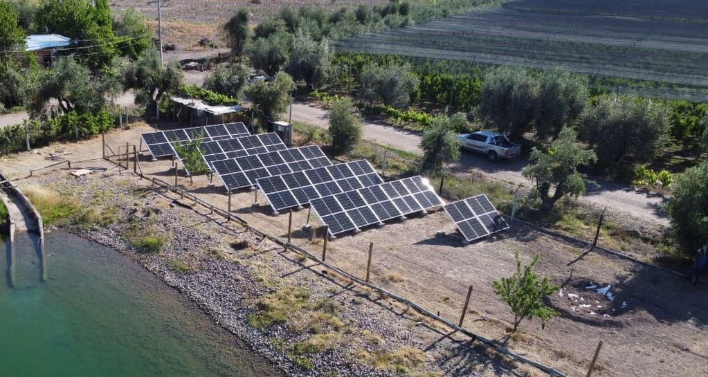 Paneles solares en diferentes fincas de Mendoza. - Gentileza Clúster de Energías Renovables de Mendoza