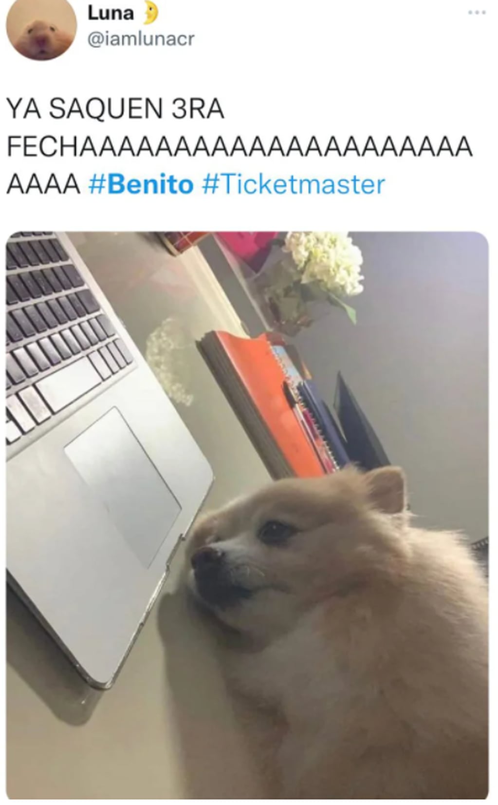 Meme sobre la venta de entradas para Bad Bunny México