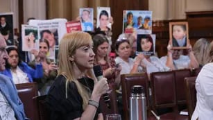 Anabel Fernández Sagasti en el Senado