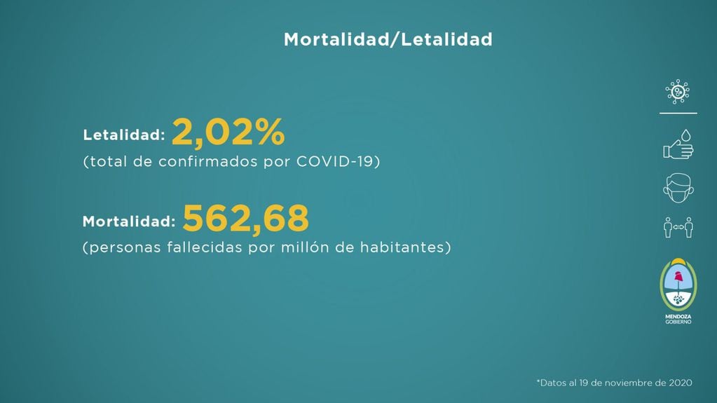 Informe sobre la situación sanitaria de Mendoza en pandemia del 13 al 19 de noviembre de 2020.
