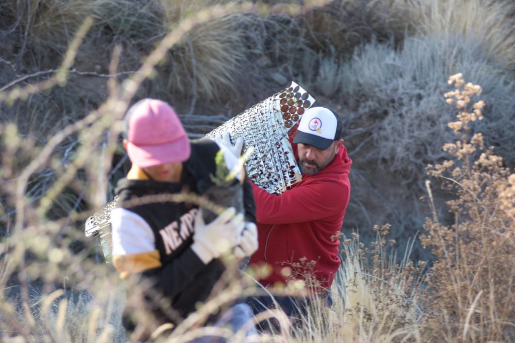 La jarilla, protegida: colocaron 250 plantas en el Cerro Arco y buscan que un jarillal sea área protegida. Foto: Gobierno de Mendoza.