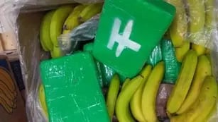 La policía checa incautó 840 kilos de cocaína ocultos en cajones de bananas