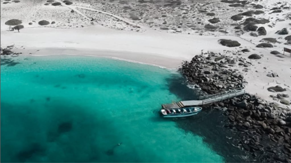La isla chilena ubicada frente a La Serena y que permite disfrutar de delfines, pingüinos y ballenas. Foto: Instagram @legovde