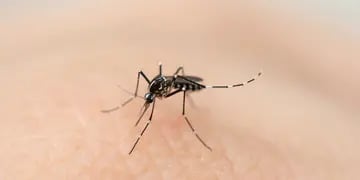 ¿Qué condiciones se asocian a formas graves de dengue?