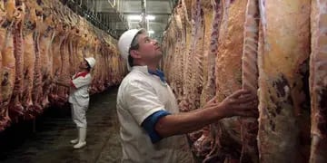  En el mes de julio se colocaron 9.200 toneladas de carne en China.