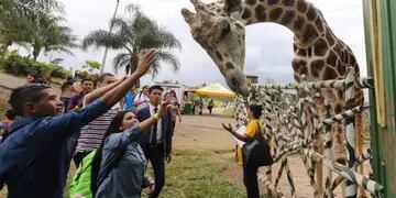 Una popular jirafa de un zoológico de Honduras, decomisado en 2013 a una banda de narcotraficantes, murió por causas aún desconocidas.