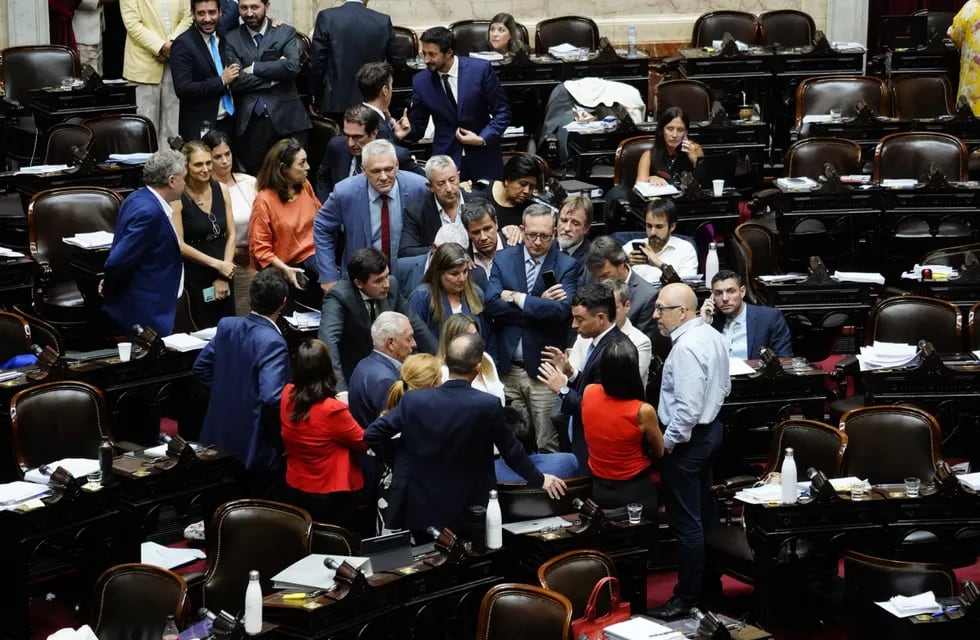 Escándalo en Diputados y marcha atrás con la ley ómnibus: vuelve a comisión por pedido de Javier Milei. Foto: Federico Lopez Claro