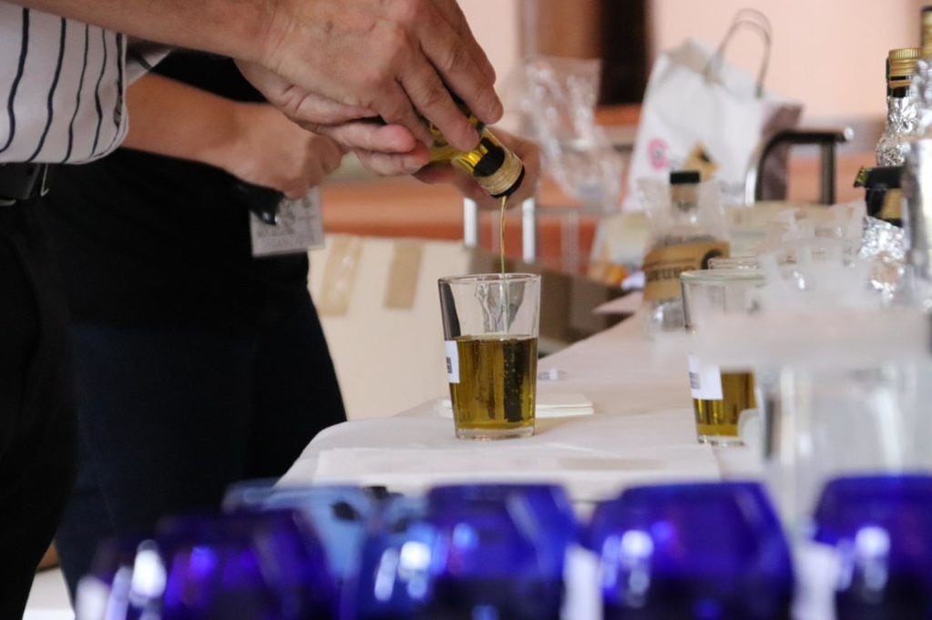 Se realizó en Turquía el concurso internacional de aceites de oliva virgen extra Anatolian IOOC 2023, y 13 productos mendocinos fueron reconocidos por su calidad.