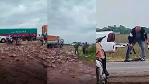 Video: volcó un camión que transportaba cajas de vino y lo saquearon de inmediato