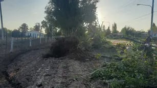 Daños en Lavalle tras la fuerte tormenta de granizo