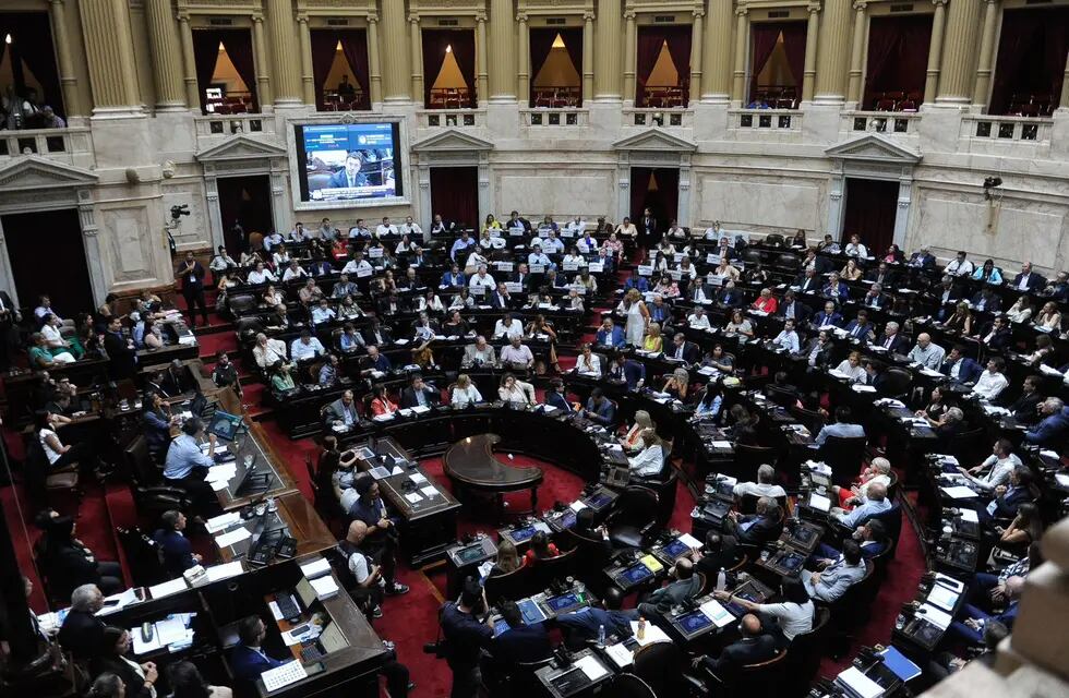 Diputados debate en particular la Ley Ómnibus. Foto: Federico Lopez Claro