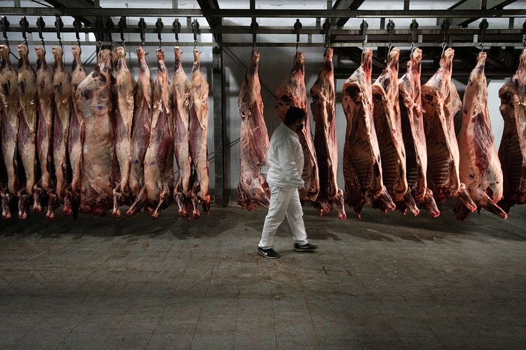 Se acordó destinas 20.000 toneladas de carne al mercado local que serán ofrecidas en 2.300 bocas de expendio; 10.000 toneladas estarán disponibles para Navidad y otras 10.000 para Año Nuevo. / Foto: Ignacio Blanco