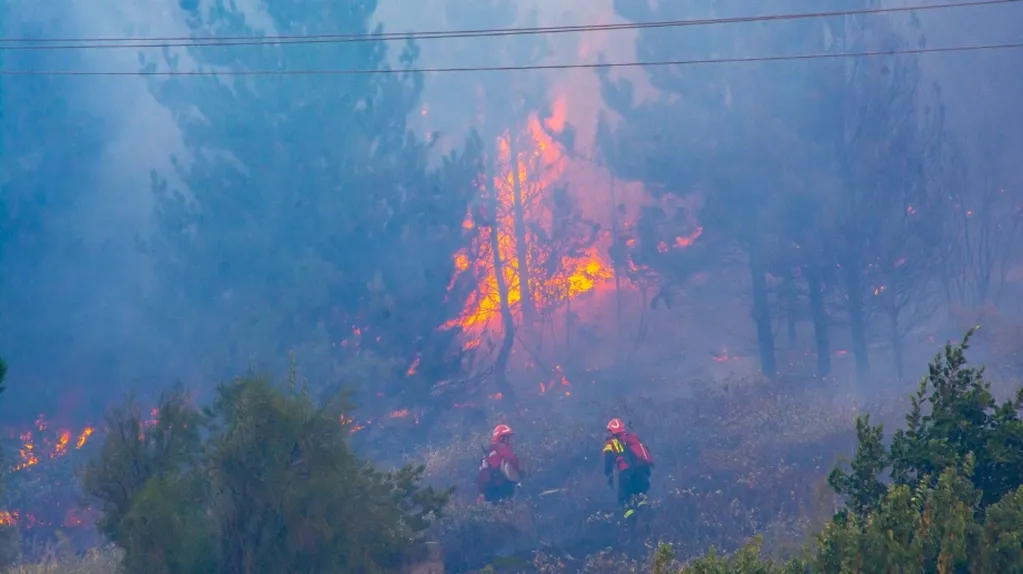 Incendio forestales en Chubut. Foto: Municipalidad de El Hoyo