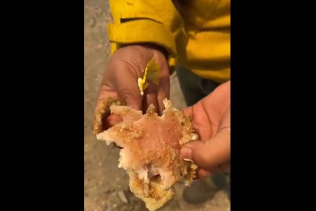 En un video viral Brigadistas que combaten los incendios en Bariloche denunciaron que reciben comida en mal estado. / Foto: Gentileza