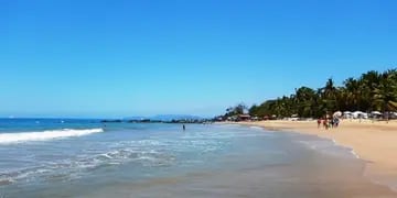 Doble ataque de tiburón en una playa de México: un turista murió desangrado y una mujer permanece internada