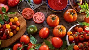 Segunda edición del “Festival Del Tomate” en Casa Vigil
