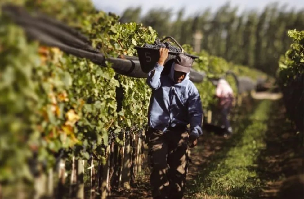 Los empleados de viña y de bodega tendrán un 110% de aumento en sus salarios, en dos cuotas, en marzo y abril