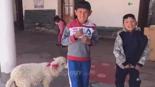 Niño lleva a su oveja a la escuela