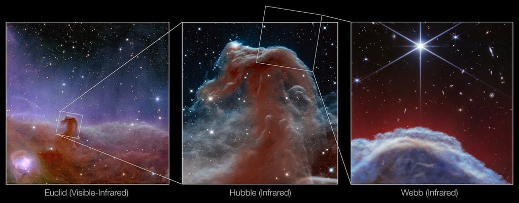 El Telescopio Webb de la NASA capta imágenes de la nebulosa "Cabeza de caballo" (ESA/Euclid/Euclid Consortium/NASA)