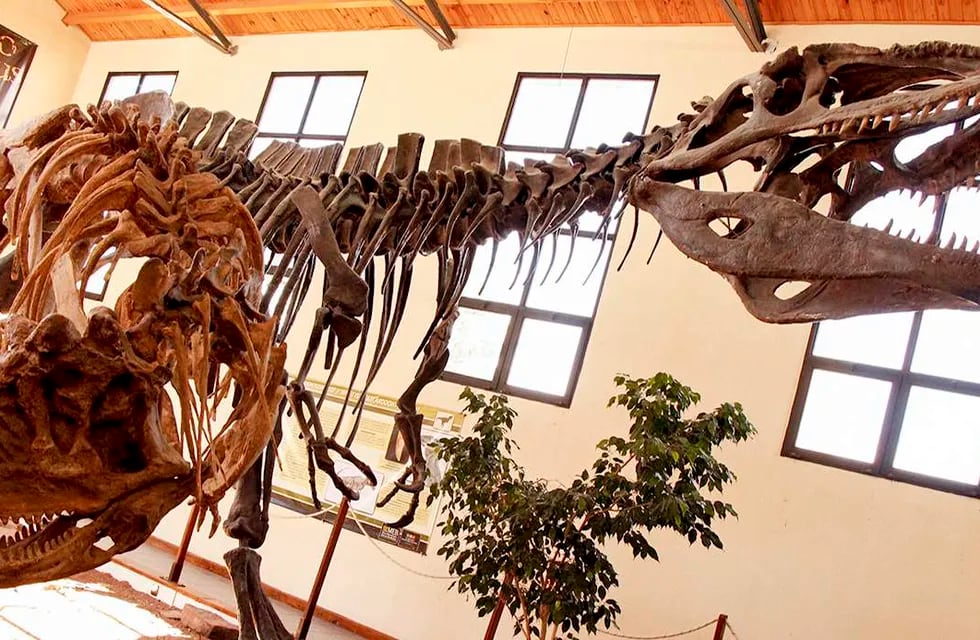 Jornadas de paleontología en Mendoza