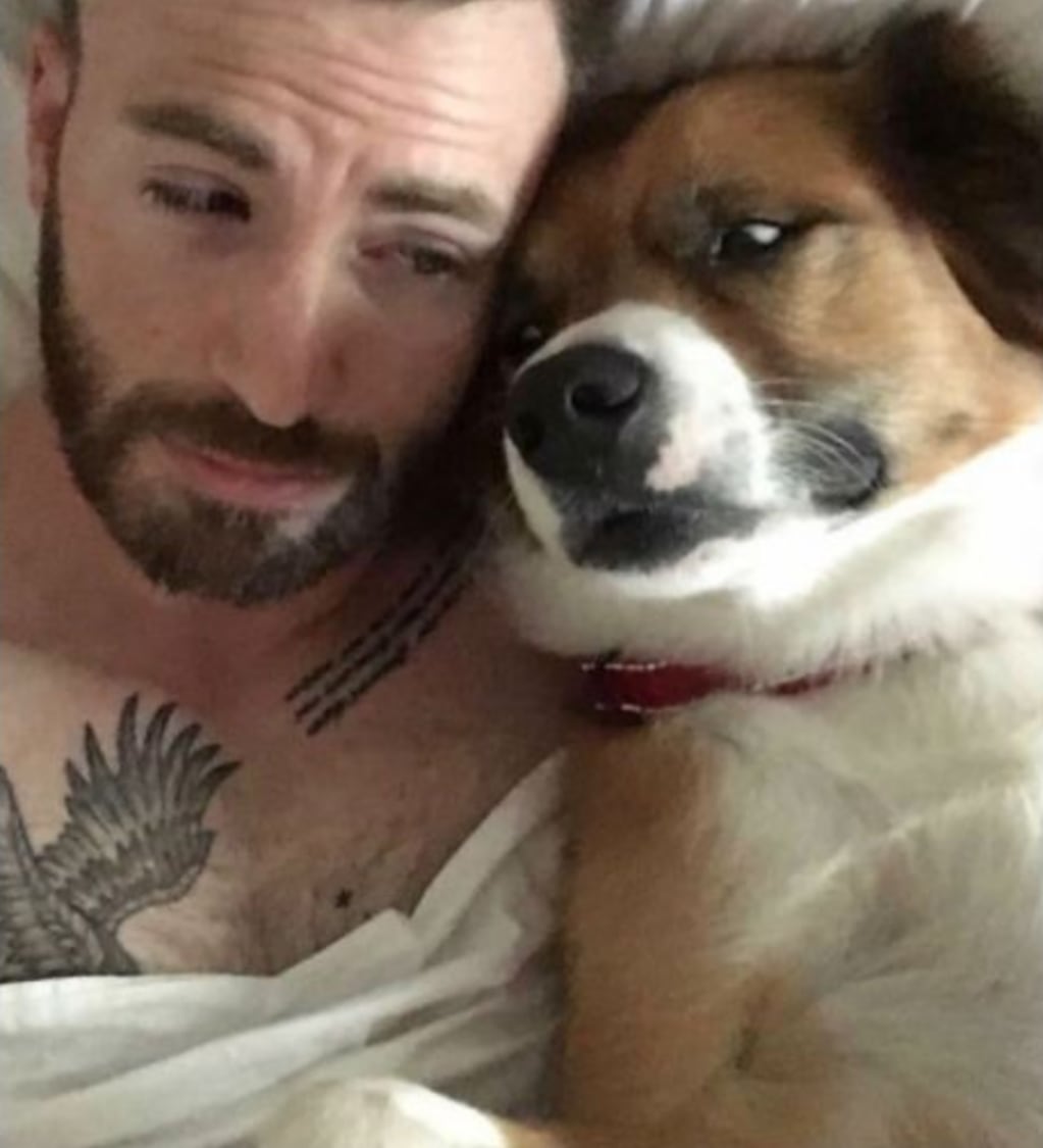 El actor junto a su perro Dodger.