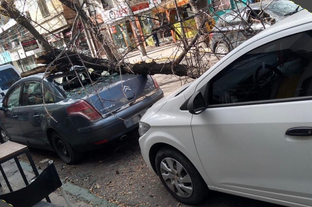 Un auto estacionado sobre calle San Juan de Ciudad fue aplastado por un árbol que cayó por las fuertes ráfagas de viento Zonda. 