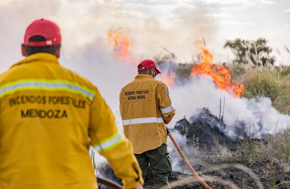 Una quema de pastizales se salió de control y provocó un incendio en El Carrizal. Cerca de 100 hectáreas se vieron afectadas por las llamas y las autoridades pudieron controlarlas a tiempo.