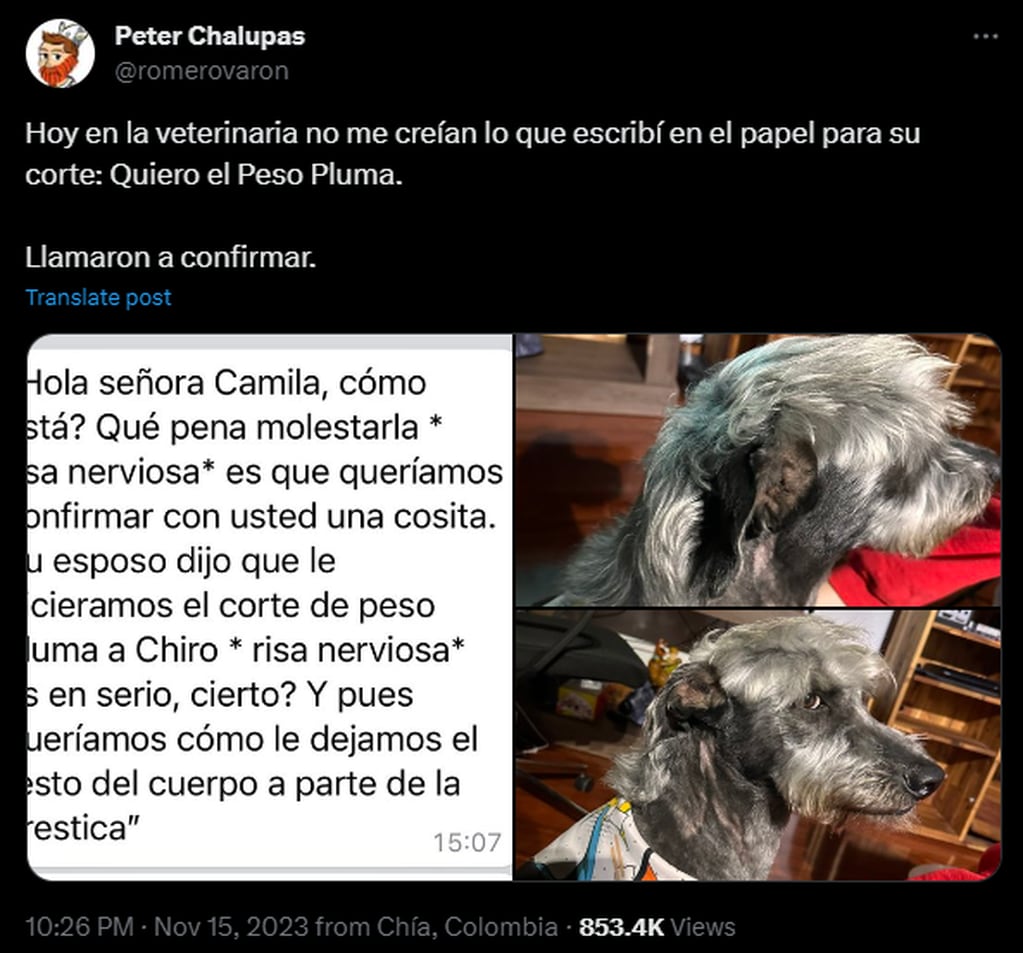 El posteo del Perro Pluma que se viralizó. Foto Captura: @romerovaron