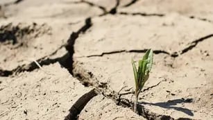Qué es la sequía y por qué nos preocupa tanto?